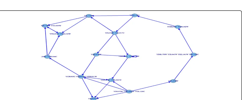 Figure 3 A target network: the citrate cycle metabolic pathway’s underlying relation network in KEGG