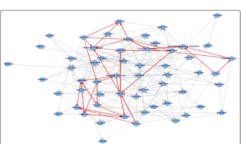 Figure 5 Resulted network of probabilistic pathway inference without knowledge constraints for the targeted citrate cycle metabolicpathway network