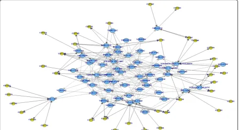 Figure 7 Resulted metabolic pathway after attaching chemical compounds on to the predictive pathway network in Figure 6