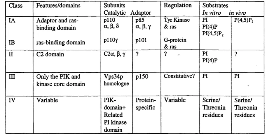 Table 2. The different classes of the PI 3-kinase family.Adapted from (Vanhaesebroeck and Waterfield, 1999).This table includes information on their domains, regulation, and preferred substrates.