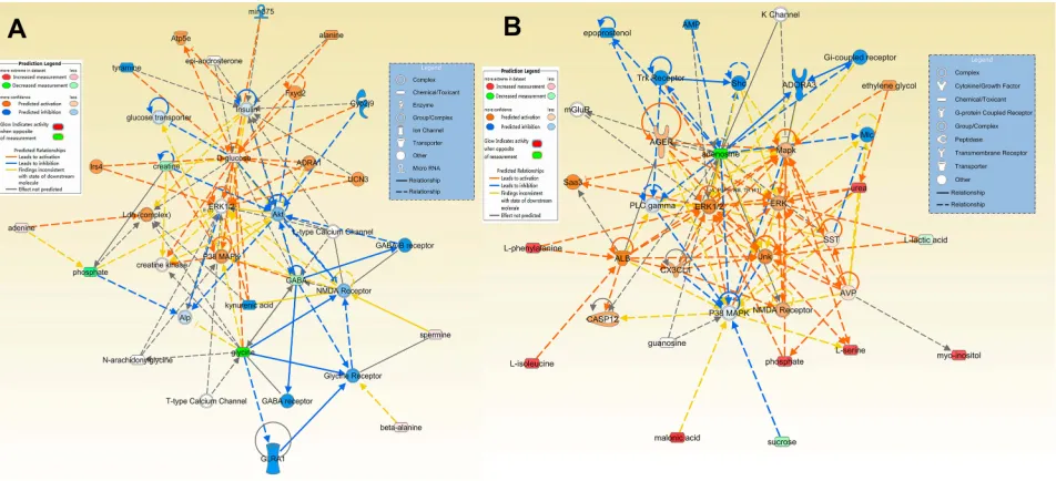 Figure 6 (A) Overview of molecular and cellular functions of the differential metabolites in the hippocampus following 4 weeks of DG treatment, according to the IPAdatabase