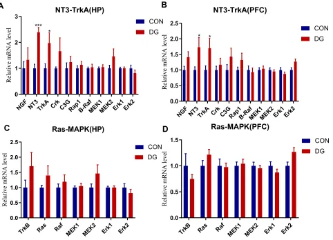 Figure 8 The expression levels of genes related to the NT3-TrkA pathway in the HP (PFC (A) and the PFC (B)