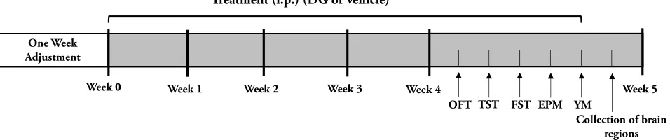 Figure 1 Schematic schedule of experimental approach.