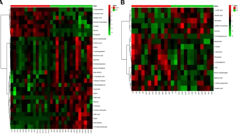 Figure 4 Heat map of the differential metabolites between DG and CON groups in the HP (A)
