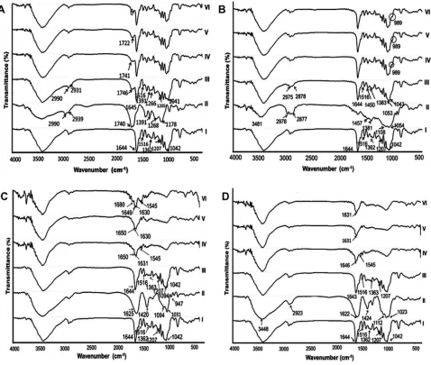 Figure 1 FT-IR spectra.Abbreviations:Notes: (A) EUD-L, (B) EC, (C) ALG, and (D) SCMC. (I) naringin, (II) polymer, (III) 1:1 PM, and (IV) 1:1 KM at pH 1.2, (V) 1:1 KM at pH 6.8, and (VI) 1:1 KM at pH 7.4