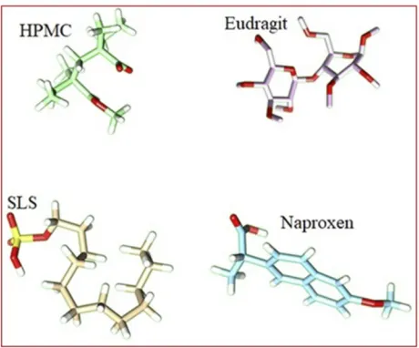 Figure 2 Minimized structures of polymers, surfactants, and NP.