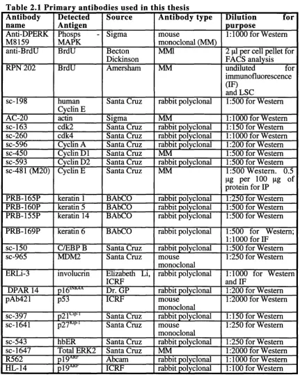 Table 2.1 Primary antibodies used in t lis thesis