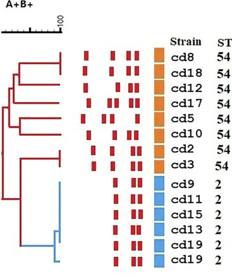 Table 2 Antimicrobial Susceptibility Testing of 21 Isolates to 6 Antimicrobial Agents