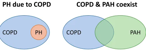 Table 2 Hemodynamic Classiﬁcation of Pulmonary Hypertensionin COPD