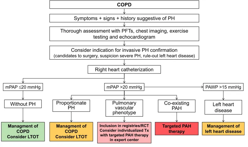 Figure 4 Diagnosis and management of pulmonary hypertension in COPD.Abbreviations: COPD, chronic obstructive pulmonary disease; PH, pulmonary hypertension; mPAP, mean pulmonary arterial pressure; PAWP, pulmonary arterial wedgepressure; LTOT, long-term oxygen treatment; RCT, randomized controlled trials; Tx, treatment; PAH, pulmonary arterial hypertension.