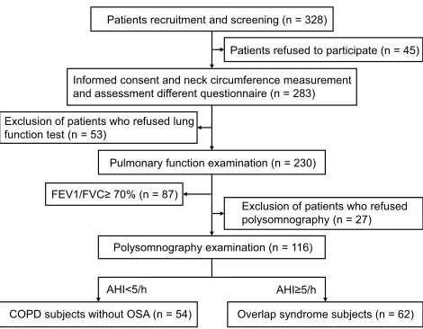 Figure 1 Flow diagram for participants in this study.