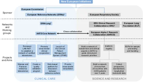 Figure 1 European strategies to improve patient care in AATD.Abbreviation: AATD, Alpha-1 antitrypsin deﬁciency.