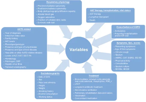 Figure 4 EARCO registry data collection.terase-4-inhibtor; QoL, quality of life; SGRQ, St GeorgeAbbreviations: AAT, Alpha-1 antitrypsin; AATD, Alpha-1 antitrypsin deﬁciency; ALT, alanine aminotransferase; AST, aspartate aminotransferase; BODE, Body-mass index,Obstruction, Dyspnea, Exercise; CAT, COPD Assessment Test; COPD, chronic obstructive pulmonary disease; CRP, C-reactive protein; EQ-5D, EuroQol; ER, emergencyroom; FA, folic acids; GGT, gamma-glutamyltransferase; LTOT, long-term oxygen therapy; mMRC, modiﬁed Medical Research Council dyspnea scale; PDE4-I, phosphodies-’s Respiratory Questionnaire.