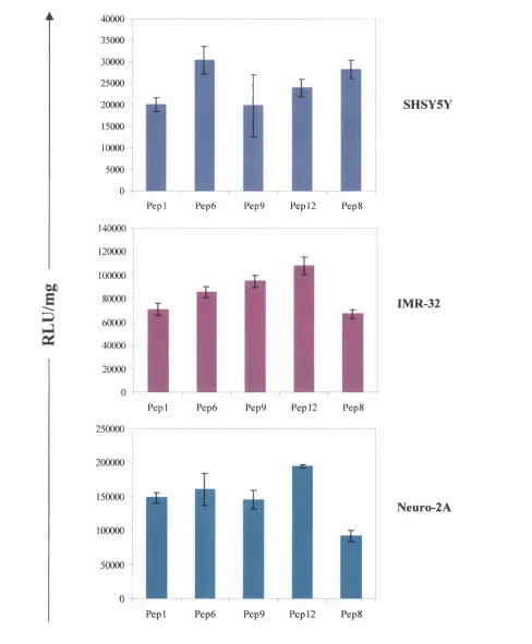 Figure 3.4 Optimisation of the integrin-targeting peptide component of thetransfect neuroblastoma cell lines with pCI-luc plasmid