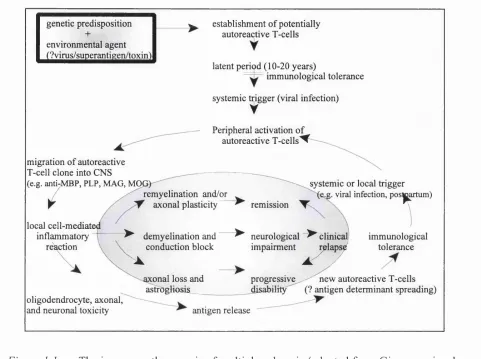 Figure 1.1 The immunopathogenesis of multiple sclerosis (adapted from Giovannoni and 