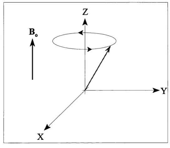 Figure 2.2 Precession of a spin in a magnetic field.