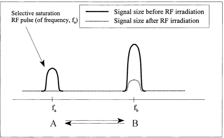 Figure 2.16 