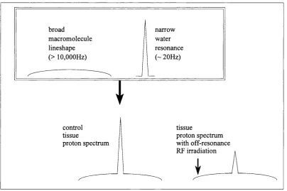 Figure 2.17 