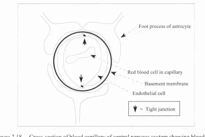 Figure 2.18 