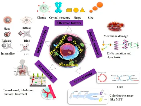 Figure 8 Key parameters affecting the toxicity of TiO2 nanostructures and methods of assessing their toxicity.