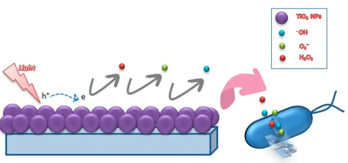 Figure 1 A schematic image indicates a TiONotes:agent for anti-cancer therapy.2 based-targeted delivery of an anticancer agent and controlled drug release induced by ultrasound irradiation