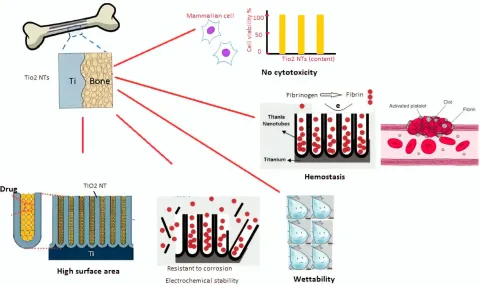 Figure 3 The main properties of TiO2 nanostructure make it suitable for implant and other in vivo applications.
