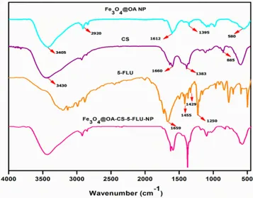 Figure 2 (A) SEM image and (B) EDX spectrum of Fe3O4@OA-CS-5-FLU-NP.