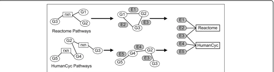 Figure 1 Pathway network decomposition. Pathway networks from Pathway Commons were decomposed to discrete gene-to-generelationships