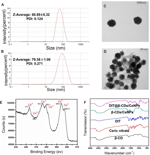 Figure 1 Hydrodynamic diameters ofinfrared spectra ofand DIT@ β-CDs/CeO2NPs (A) and DIT@β-CDs/CeO2 NPs (B) measured by DLS; TEM (scale bar = 100 nm) images of β-CDs/CeO2NPs (C)β-CDs/CeO2 NPs (D) dispersed in water; (E) XPS analysis of β-CDs/CeO2 NPs for Ce3+ and Ce4+ showing the binding energy levels; (F) Fourier transform β-CDs, ceric nitrate, DIT, β-CDs/CeO2 NPs and DIT@ β-CDs/CeO2 NPs.