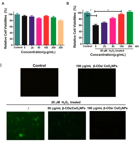 Figure 3 (A) Viabilities of HaCaT incubated with varied concentrations of β-CDs/CeO2 NPs for 48 h; (B) HaCaT viabilities for the protective capabilities of β-CDs/CeO2NPs by different doses after being treated with 50 µM H2O2; (C) the ﬂuorescence images of HaCaT cells after various treatments with H2O2 (20 µM) only, β-CDs/CeO2NPs (100 µg/mL) only, H2O2 and β-CDs/CeO2 NPs stained with DCFH-DA.