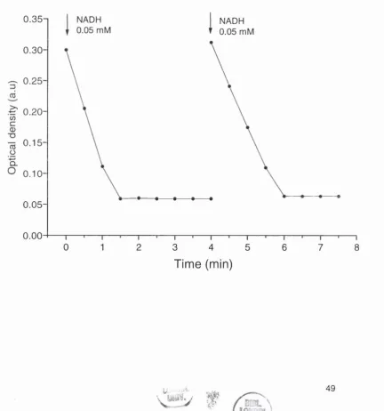 Figure 9. Repeated oxidation of NADH by purified complex I (20 ug) in a 