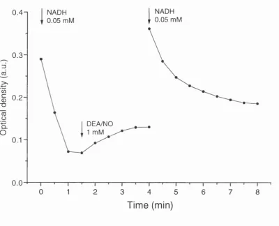 Figure 10. Repeated oxidation of 0.05 mM NADH by purified complex I 