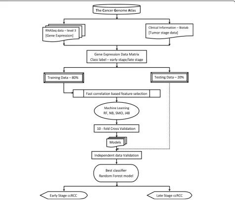 Figure 1 Schematic representation of the overall strategy used in the study. Data was downloaded from TCGA data portal