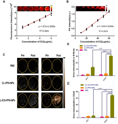 Figure 5 In vitro FL, PA and US imaging. ((PFH-NP group when compared with the other two groups after irradiation (****irradiation (****A) FL intensities and FL images of CL-ICG-PFH-NPs with different concentrations of ICG (n=3)
