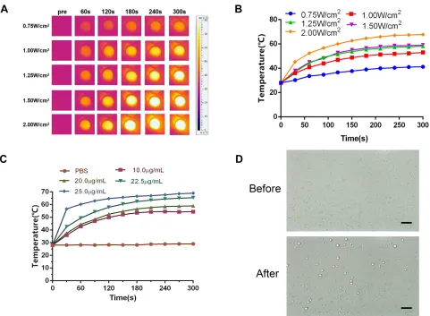 Figure 4 In vitro photothermal evaluation. (A) The picture of temperature evolution of CL-ICG-PFH-NPs under different power density laser