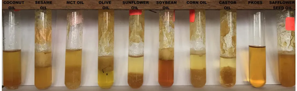 Figure 1 The solubility of aripiprazole in different types of oil containing 2% of lecithin.