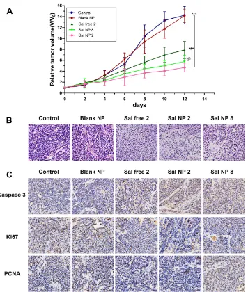 Figure 2 In vivo antitumor efﬁcacy of Sal and Sal NPs in a HeLa tumor model. (A) The tumor growth curves of HeLa tumor-bearing mice that received different treatments(n=8) ***p<0.001; (B) H&E staining of the tumors in different treatment groups (n=8); (C) Representative IHC staining of Ki-67, Caspase3 and PCNA of the cervicaltumors in day 12.Abbreviations: Sal, Salinomycin; Sal NPs, Sal-mPEG-pep-PCL nanoparticles; H&E, hematoxylin and eosin; IHC, Immunohistochemistry.