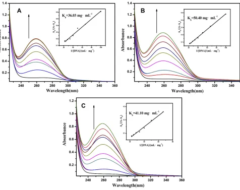 Figure 3 Electronic absorption spectra of the A0.045 mg mLbinding constants (3 (10 μM) in the absence and presence of amounts of CT-DNA (0, 0.005, 0.01, 0.015, 0.020, 0.025, 0.030, 0.035, 0.040,−1) in KH2PO4/NaOH buffer ((A) pH = 6.2, (B) pH = 7.2, (C) pH 