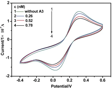Figure 6 The relationship between anodic peak current and the scanning rate (0.01–-0.13 V s −1) for CT-DNA/Au.