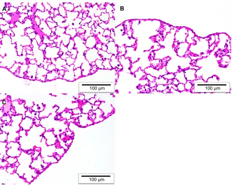 Figure 1 Representative H&E stained sections of rat visceral pleura and underlying lung parenchyma after intrapleural administration of liposomal curcumin