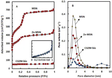 Figure 2 (A) Nitrogen sorption isotherms and (B) pore size distribution for the MSN, Zn-MSN NPs, and CGZM-bio samples.