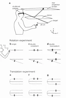 Figure 3.1: a, Apparatus for measuring unconstrained 3-dimensional arm move­ments under 3-dimensional virtual visual feedback