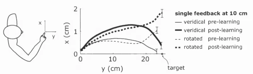 Figure 3.3: Rotation experiment: Finger paths before (dotted lines) and after learn­ing (solid lines), averaged over all subjects’ paths