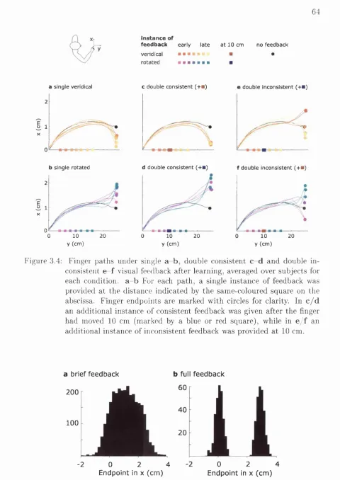 Figure 3.4: Finger paths under single a-b, double consistent c -d and double in­consistent e f visual feedback after learning, averaged over subjects for each condition, a-b For each path, a single instance of feedback was provided at the distance indicate