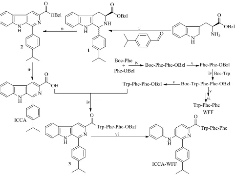 Figure 3 Synthetic route of ICCA-WFF: i) TFA, CHhydrochloride in ethyl acetate (4M); vi) Pd/C and H2Cl2; ii) SeO2, 1,4-dioxane and 70 °C; iii) aqueous NaOH (2M), 1,4-dioxane and 0°C; iv) anhydrous THF, HOBt, DCC; v)2.Abbreviations: ICCA, 1-(4-isopropylphenyl)-β-carboline-3-carboxylic acid; TFA, triﬂuoroacetic acid;CH2Cl2, dichloromethane;SeO2, selenium dioxide; NaOH, sodiumhydroxide; THF, tetrahydrofuran; HOBt, 1-Hydroxybenzotriazole; ICCA-WFF, 1-(4-isopropylphenyl)-β-carboline-3-carbonyl-Tyr-Phe-Phe.