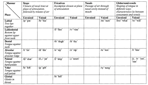 Table 2: Summary of consonant classification (adapted from Warren, 1982)