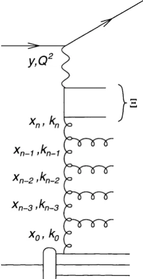 Figure 2.5: Schematic representation of the gluon ladder and quark box 5.