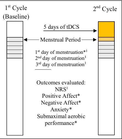 Figure 2 Research protocol.outcomes evaluated only on theNotes: ƚOutcome evaluated on ﬁrst, second, and third days of menstruation