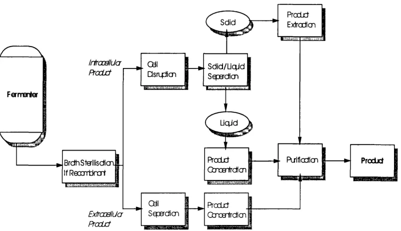 Figure 1-2Typical unit operations in downstream processing.