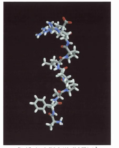 Figure 6. The poly-L-proline II helix: Pro-rich ligand for SrcSH3 domain 28